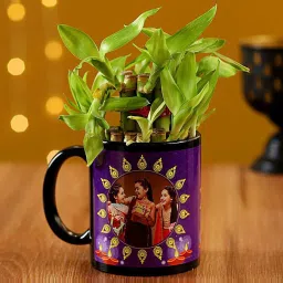 FNP Black Stainless Steel Precious Two Layer Bamboo Plant In Mug (325ml) - Set of 2 image 1