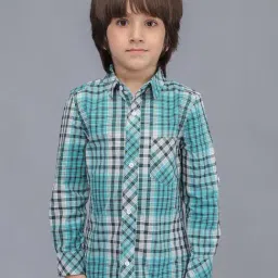 Biglilpeople Boys Green Cotton Checks Full Sleeves Shirts-picture-20