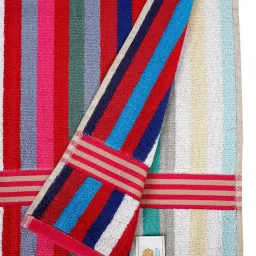 Creeva Colors Multicolor Cotton 500 GSM Terry Bath Towel - Set of 2 image 3
