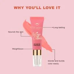 Daily Life Forever52 Juicy Cheeks Soft Cheek Liquid Blush Sugar Plum - 10 ml image 2