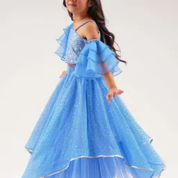 Lil Drama Kids Blue Cotton Embroidered Ghagra Cholis image 3