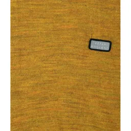 Peter England Kids Mustard Textured Full Sleeves Sweater image 3