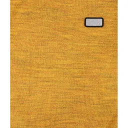 Peter England Kids Yellow Textured Full Sleeves Sweater image 3