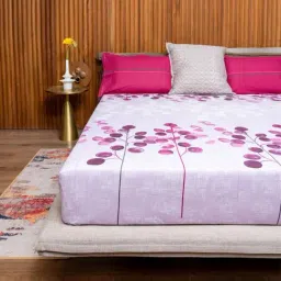 Urban Space Divine Venus Purple Cotton 160 TC Queen Bedsheet With Pillow Covers-image-22