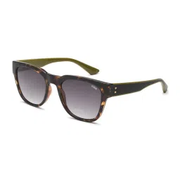 IDEE Brown Square UV Protection Sunglasses for Men image 1