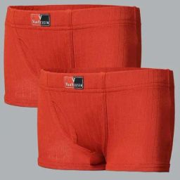 Van Heusen Regular Fit Anti Bacterial Colour Fresh Trunks - Pack of 2 - Rooibos Tea-picture-15