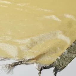 Biba Yellow & Green Woven Pattern Dupatta image 3