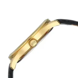 Titan Karishma 1823YL02 Analog Watch for Men image 3