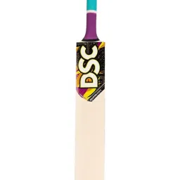 DSC Wildfire Ignite Kashmir Willow Cricket Bat Size - Short Handle image 1