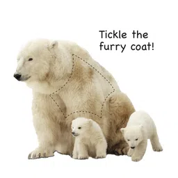 om books international Touch And Feel Wild Animals Board Book - English image 5