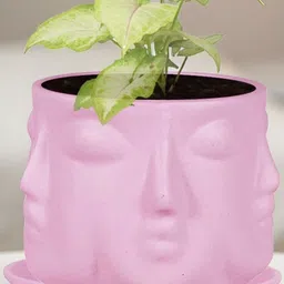 LASAKI Purple Textured Ceramic Planter With Plate-picture-30