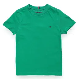 Tommy Hilfiger Olympic Green Regular Fit T-Shirt image 1