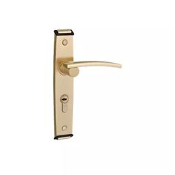Bonus Compact 60 mm Brass Matt Antique Finish 999 Mortice Lock Set-picture-33