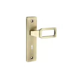 Bonus Compact 60 mm Mild Steel and Zinc Alloy Brushed Steel Finish Leo Mortice Lock Set-picture-22