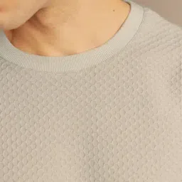 Andamen Grey Relaxed Fit Textured T-Shirt image 5