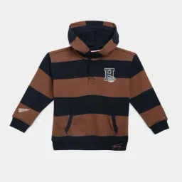 Tommy Hilfiger Brown Cotton Regular Fit Striped Hoodie-image-45