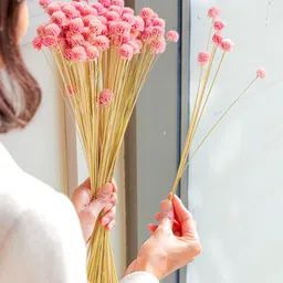 Arte Casa Light Pink Gomphera-image-68