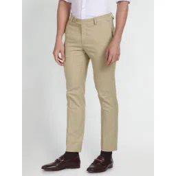 Arrow Beige Regular Fit Self Pattern Trousers image 3