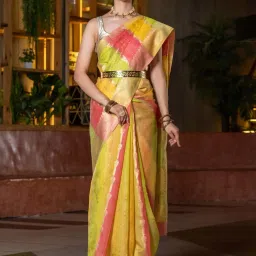 Beatitude Multi-Color Weaving Organza Saree image 1