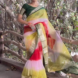 Rangtulika Ethnics Ombre Zari Organza Saree-image-6