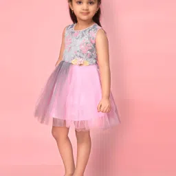 Aarika Kids Grey & Pink Embroidery Frock image 3