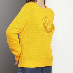 Tommy Hilfiger Yellow Embroidery Regular Fit Sweater image 3