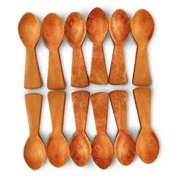 The Indus Valley Brown Neem Wood Masala Spoons - Set of 12-picture-24