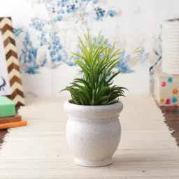 VarEesha White Ceramic Planter Pot - Set of 2-image-42