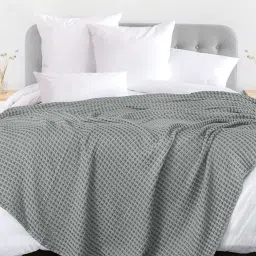 Urban Space Cool Grey Cotton 150 GSM Ac Room Double Bed Blanket image 1