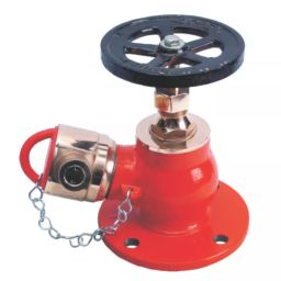 Leader 3 inch, 80 mm L Metal Female Outlet Fire Hydrant Valve, GM 114C-picture-28