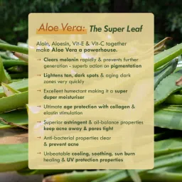 Nat Habit Fresh Orange Kiwi Vit-C Gel for Brightening & Collagen Boost - Pack of 2 image 3