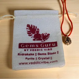 Gems Guru Rudraksha 3 Mukhi Silver Pendant image 5