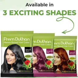 Prem Dulhan Set Of 10 Henna Based Hair Colour - 10 gm Each image 4