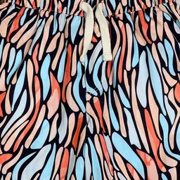 The Lion and The Fish Boys Printed Shorts image 3