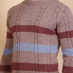 Dzant Men Colourblocked Round Neck Full Sleeve Pullover image 2