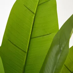 Home Centre Green 1 Pieces Hanging Artificial Flower image 3