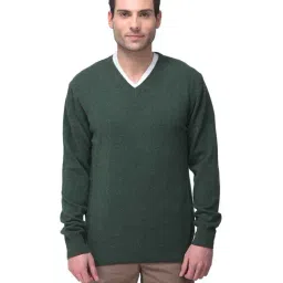 Woodland Dark Green Regular Fit Sweater-image-19