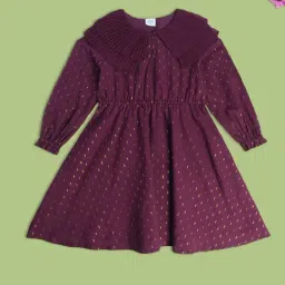 MINIKLUB Kids Wine Self Design Full Sleeves Dress-image-49