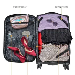 Nasher Miles Berlin Expander Soft-Sided Polyester  Set of 2 Brown Trolley Bags (65 & 75 cm) image 3