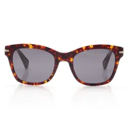 Shisen Fox Grey UV Protection Cat Eye Unisex Sunglasses image 2