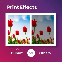 Dubam Refill Ink for Epson L800 , L805 , L810 , L850 , L1800 Printer (70 gm x 6) Cyan, Magenta, Yellow and Black Ink Bottle image 4