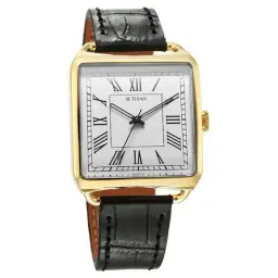 Titan 1676YL01 Retro Revive Analog Watch for Men image 5
