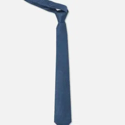 Allen Solly Blue Embroidered Formal Tie image 2