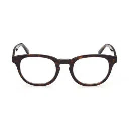 WEB EYEWEAR Brown Full Rim Oval Frame Designed in Italy image 1