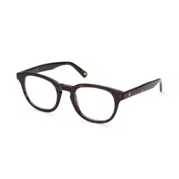 WEB EYEWEAR Brown Full Rim Oval Frame Designed in Italy image 2