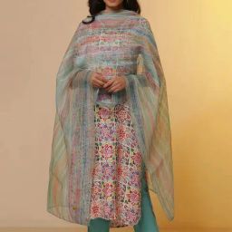 Aurelia Blue Striped Dupatta-picture-38