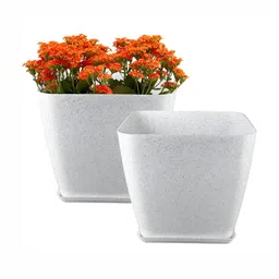 GARDEN'S NEED 2-Pcs White Textured Planters-picture-39