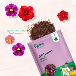 UGAOO Petunia Mix Seeds image 4