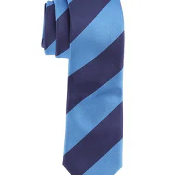 The Tie Hub Men Striped Broad Tie image 1