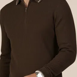 DELAN Men Ribbed Woollen Pullover image 4
